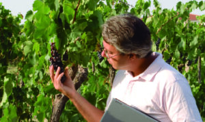 Nuevo reglamento europeo de bioestimulantes