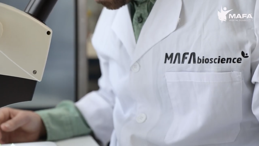 ¿Por qué el futuro de la agricultura está en la biotecnología vegetal?