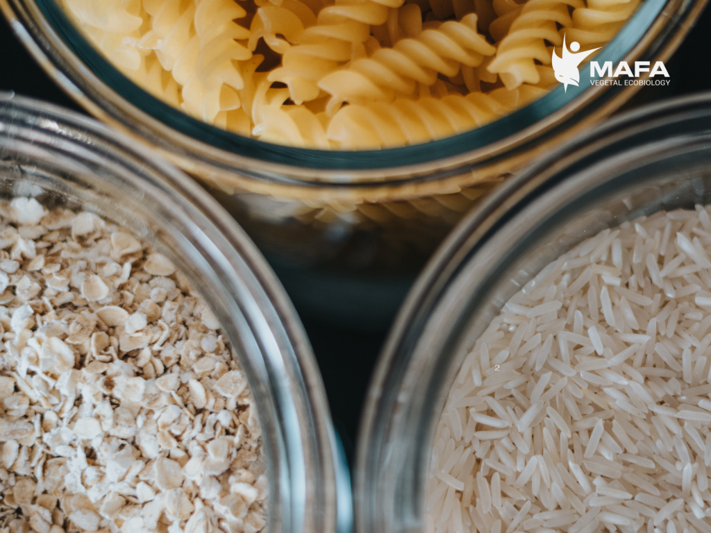 Día Mundial de la Alimentación: cultivar, nutrir y preservar juntos