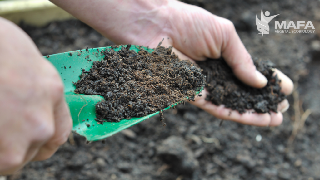 diseno-sin-titulo-36