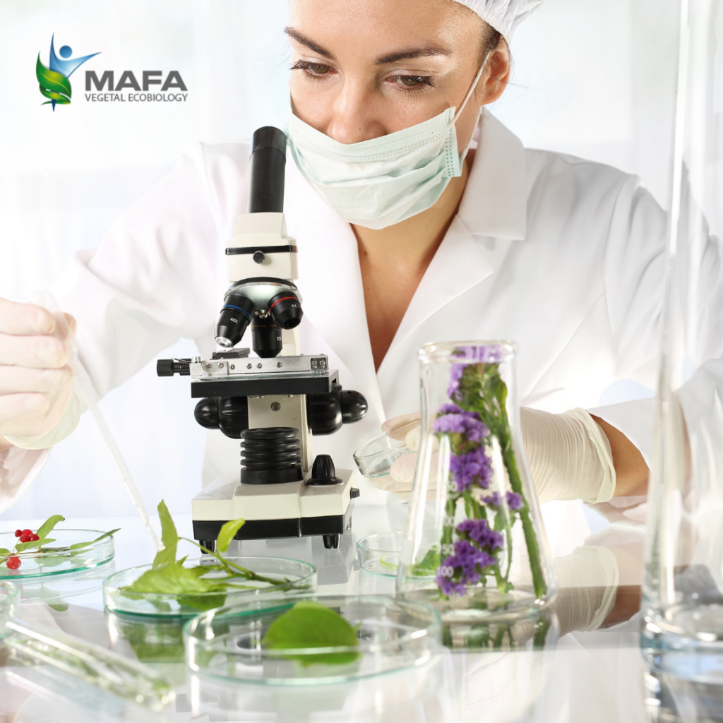 Biotecnología aplicada a la agricultura