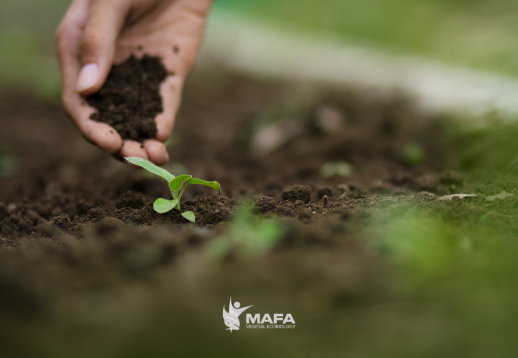 reglamento bioestimulantes