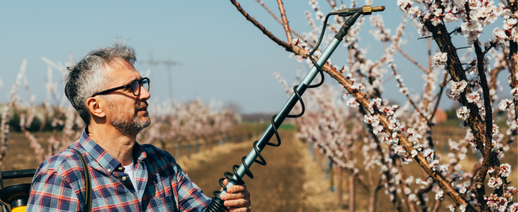 5 tratamientos indispensables para los cultivos en primavera