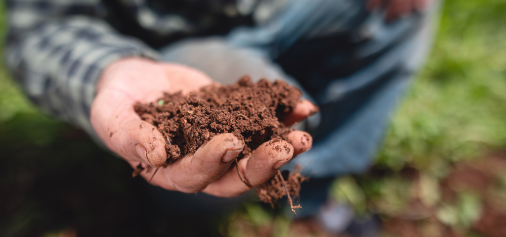 Prebióticos y probióticos: nuevas soluciones naturales aplicadas a la agricultura