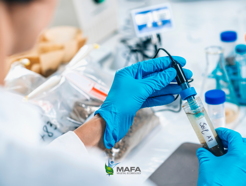 probioticos-para-plantas