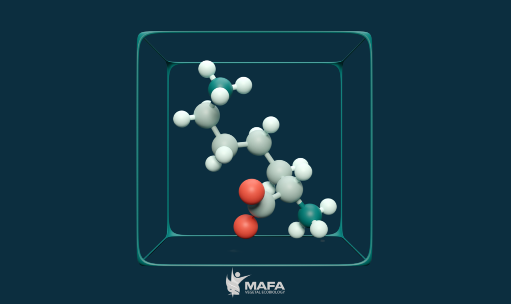 aminoacidos-en-agricultura