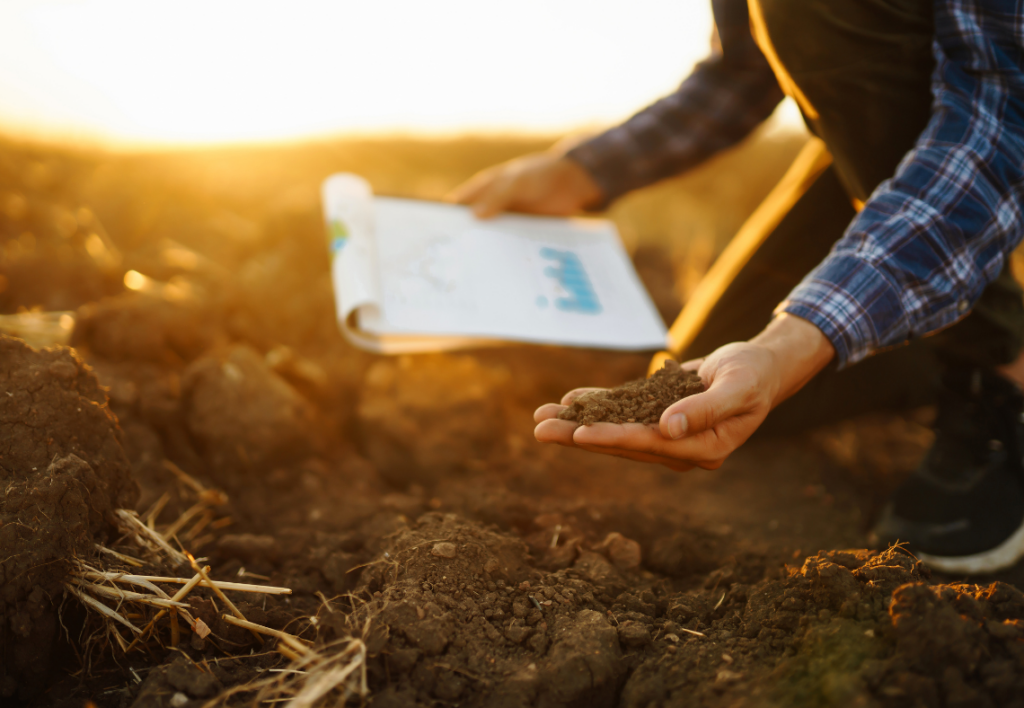 dia-internacional-de-la-conservacion-del-suelo