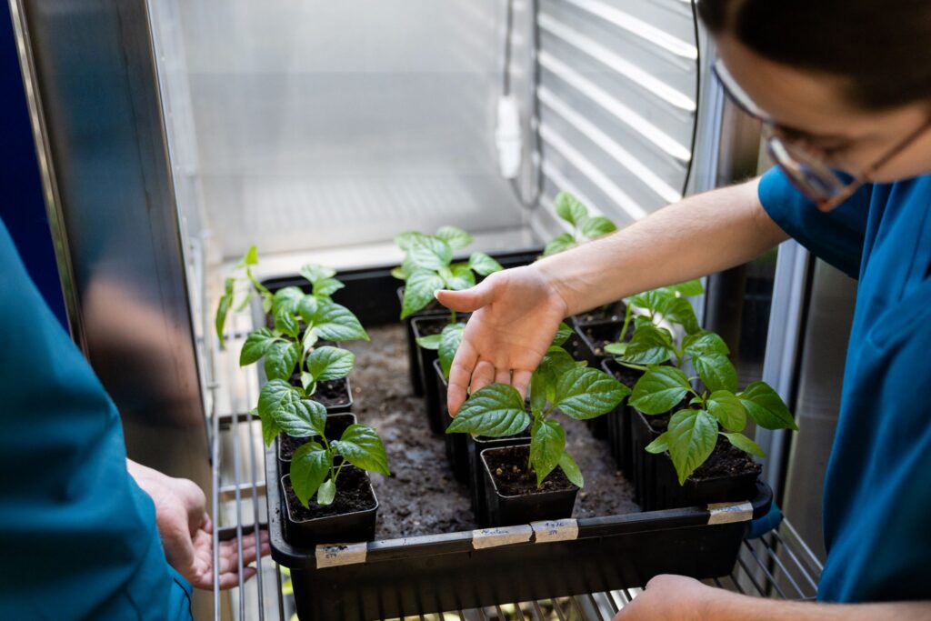 biotecnologia-la-clave-para-dar-soluciones-a-una-agricultura-sostenible