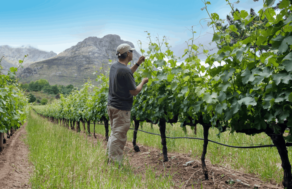 biodiversidad-en-la-agricultura