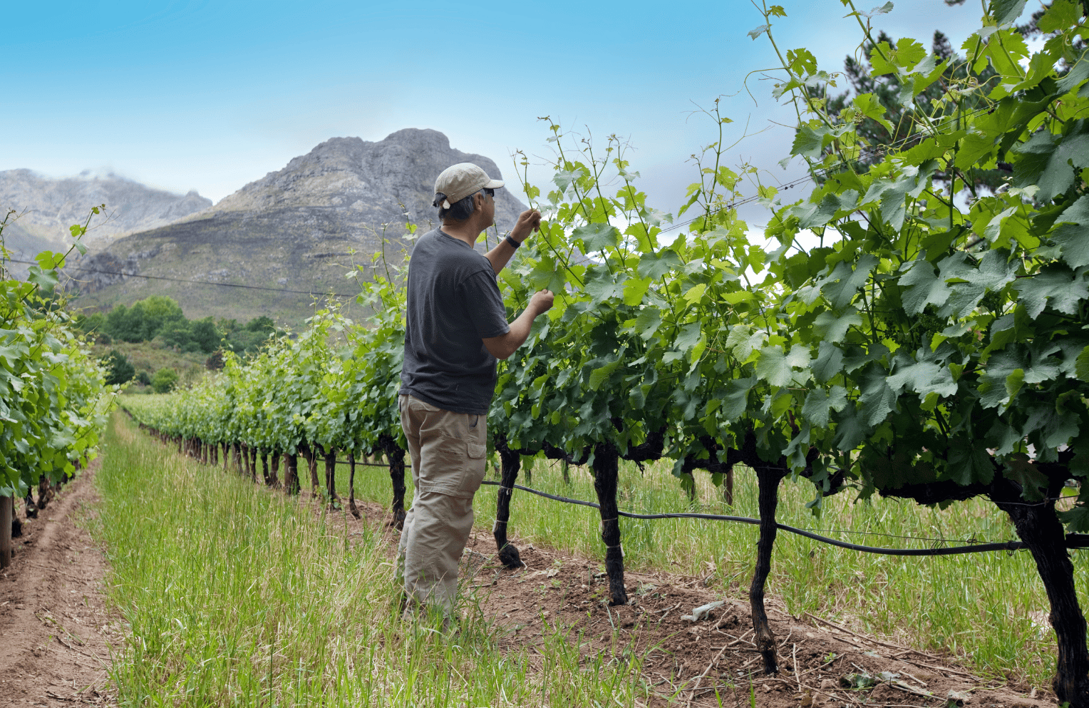 biodiversidad-en-la-agricultura