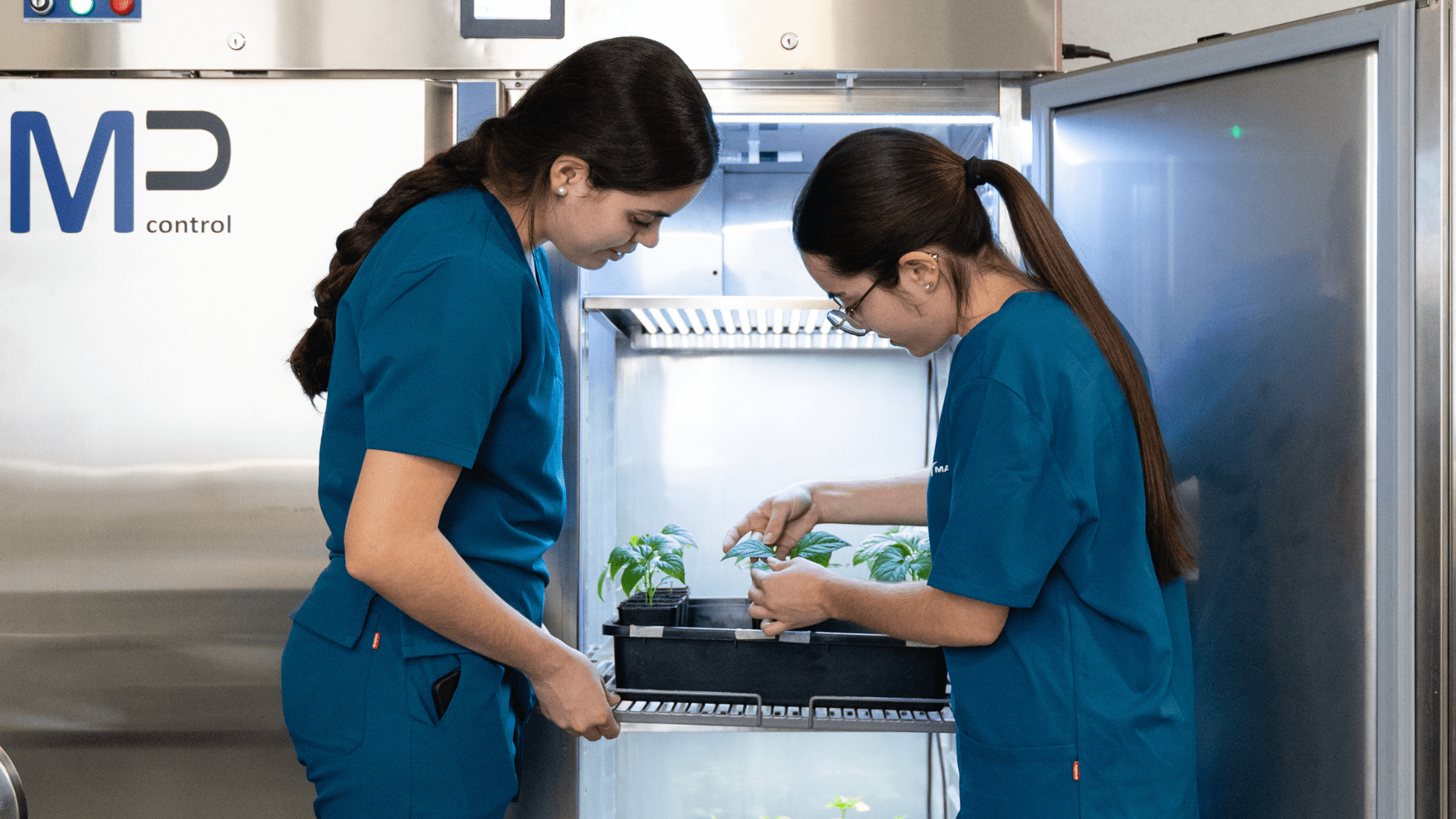 La biofertilización en primavera