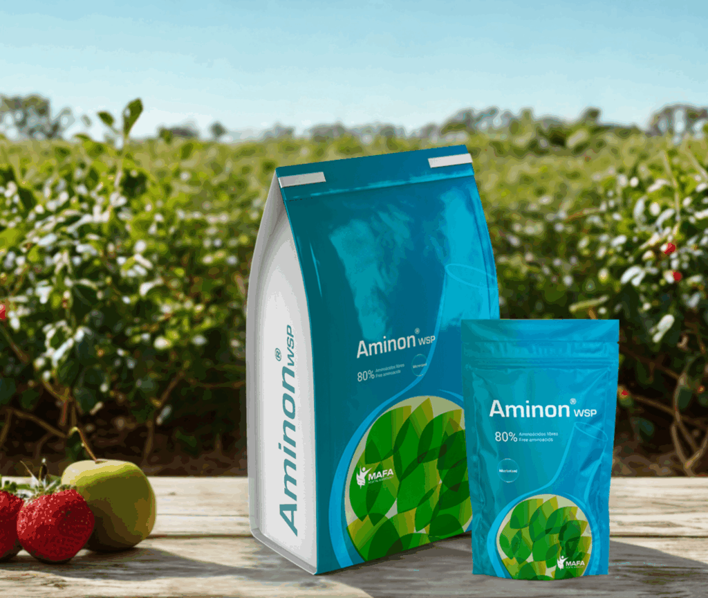 Los-aminoacidos-cuando-y-como-aplicarlos-en-los-cultivos-agricolas