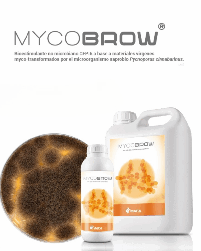 Nuevo bioestimulante agrícola Mycobrow