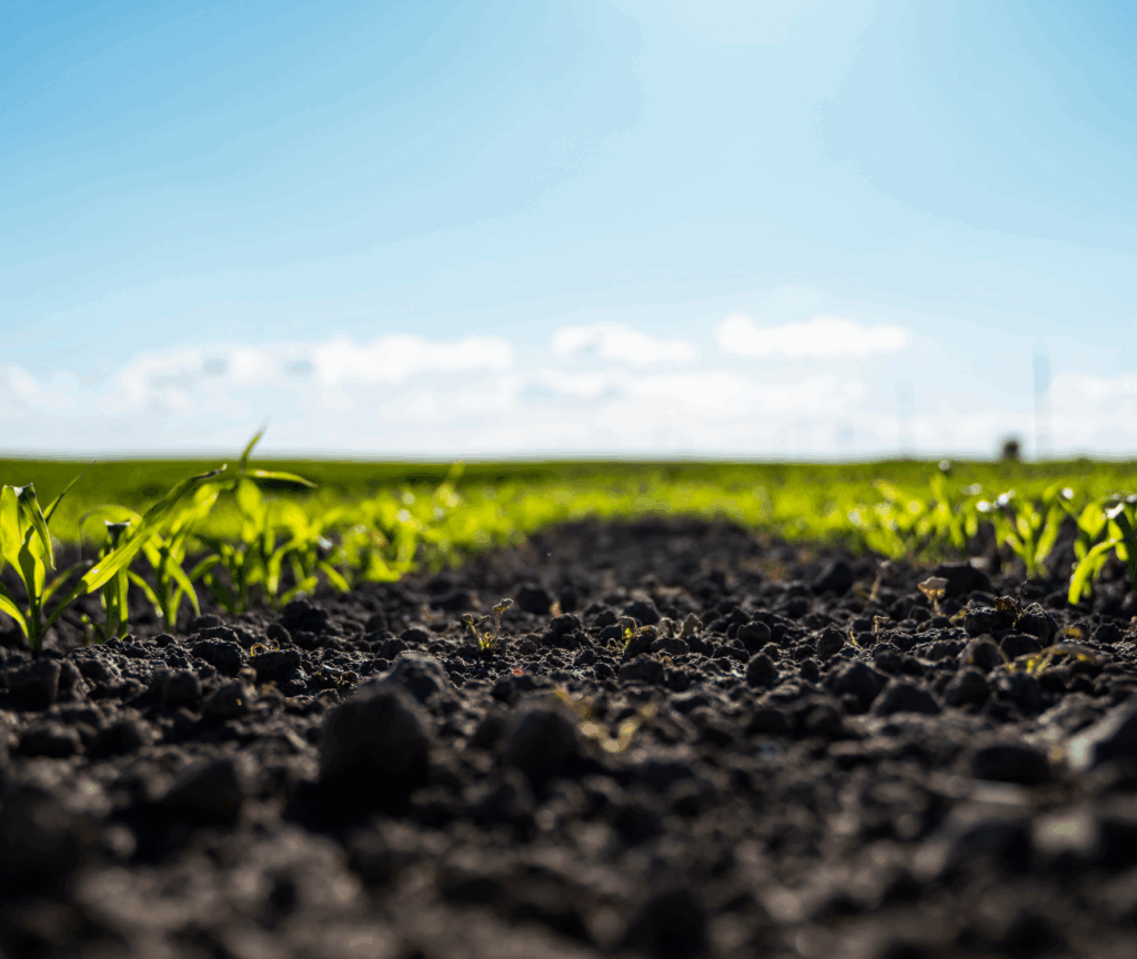 día mundial de la conservación del suelo