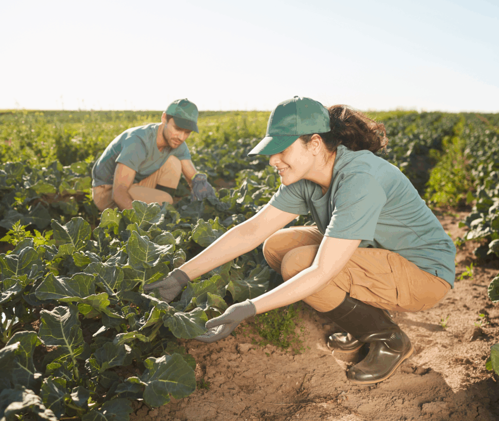 Día Mundial de la Agricultura biotecnología y sostenibilidad como referencia