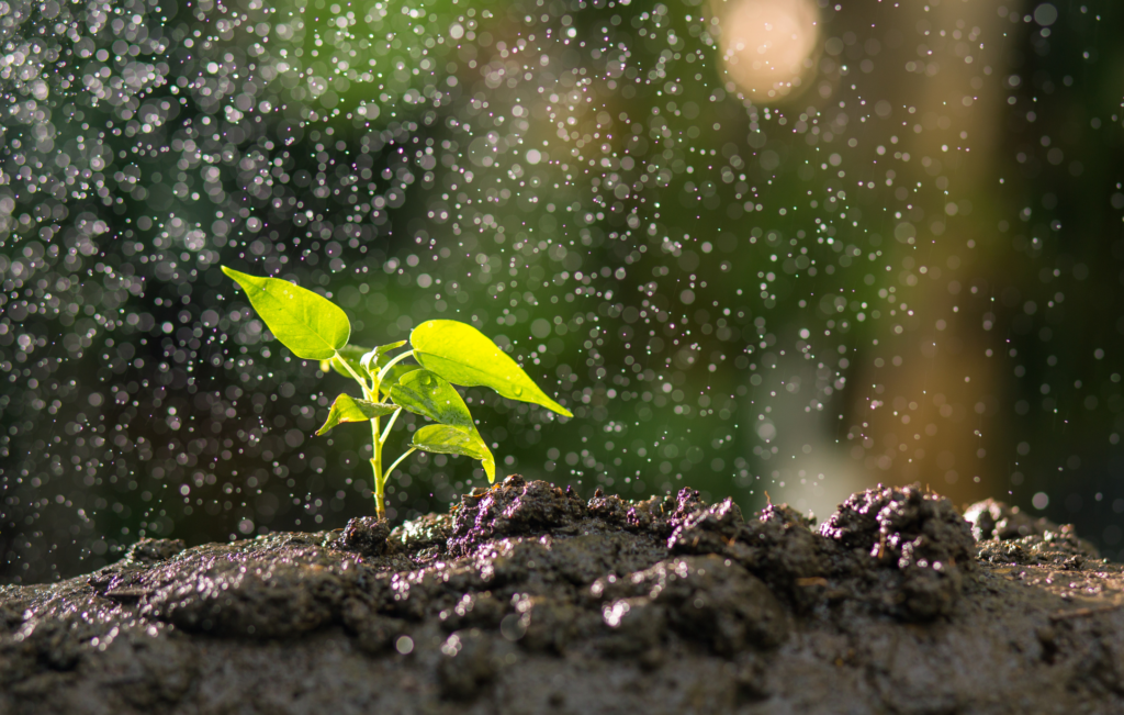 Water is Essential: Enhancing Its Management Through Biostimulant Solutions