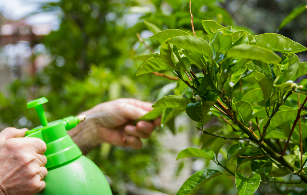 Priming: 4 Key Tools to Enhance Plant Immune System Performance